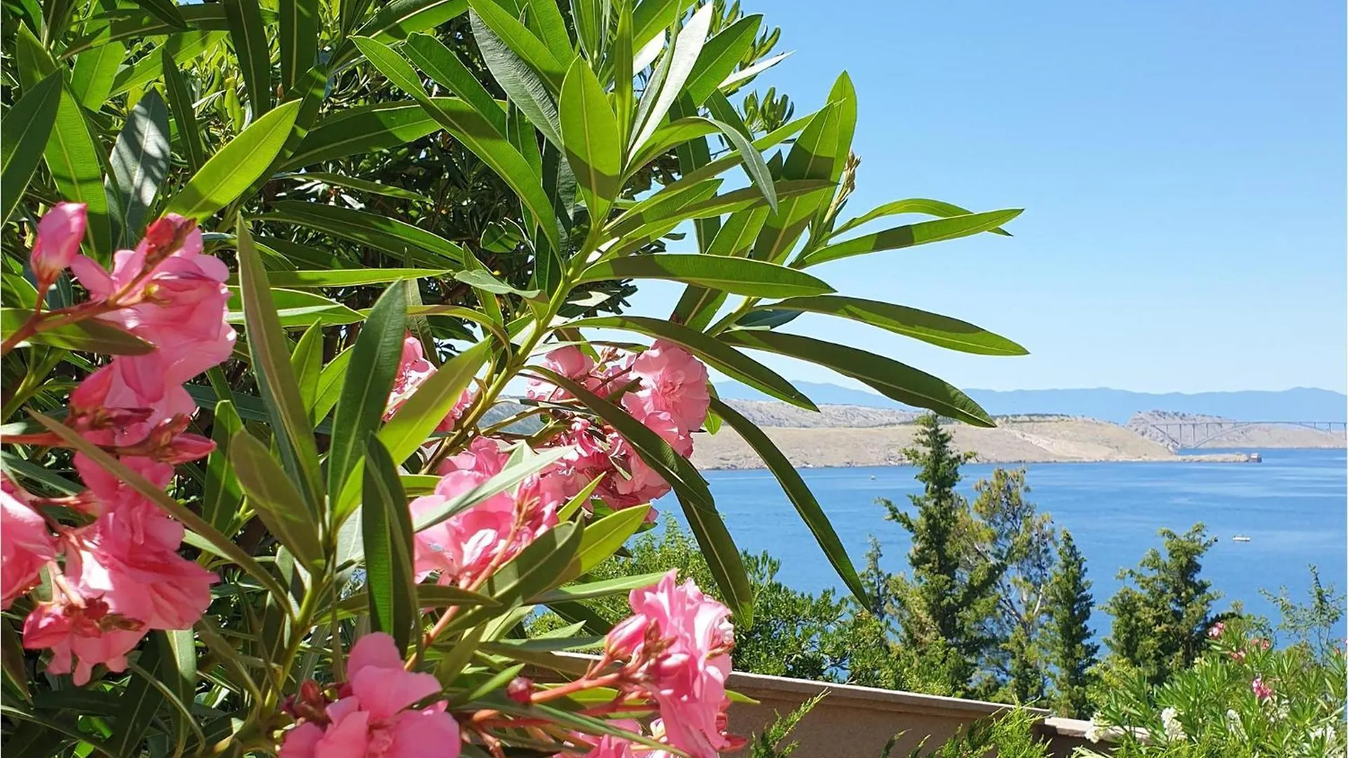 Amazing Apartment In Jadranovo